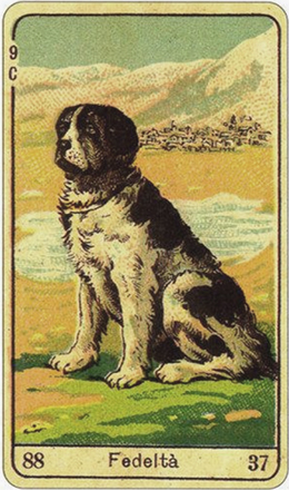 Карта Цыганского оракула 48 48