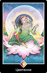 Карта Ошо Дзен таро 37 Карта 37
