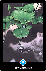 Карта Ошо Дзен таро 56 Карта 56