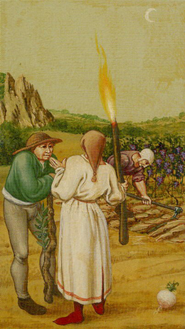 Карта таро Брейгеля 67 67