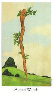 Карта таро Путь снов 65 65