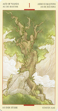 Карта таро Тамплиеров 65 65